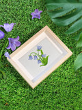Bloemen Mini Diamond Painting - Natuurlijk Mooi (12 Stuks) - Diamond Painting Pro