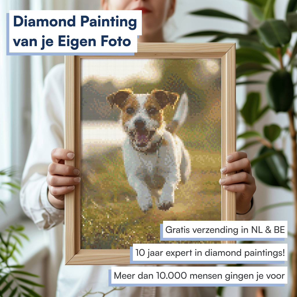 Diamond Painting Eigen Foto