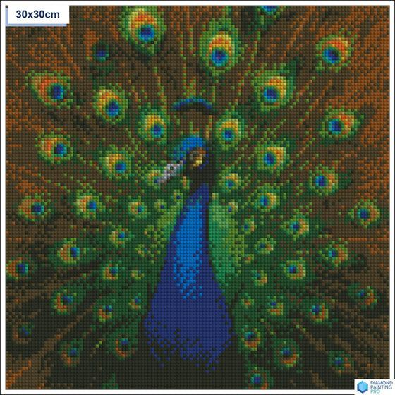 Diamond painting Elegante pauw veren vierkante stenen 30x30cm - voor kinderen