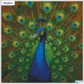 Diamond painting Elegante pauw veren vierkante stenen 30x30cm - voor kinderen