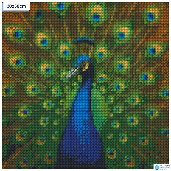 Diamond painting Elegante pauw veren vierkante stenen 30x30cm - voor kinderen