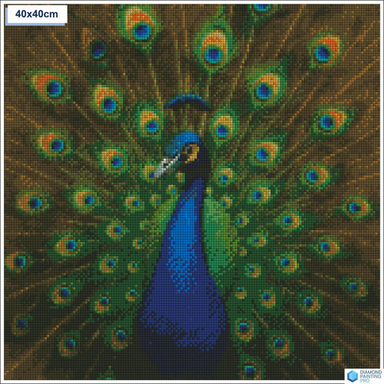 Diamond painting Elegante pauw veren vierkante stenen 40x40cm - voor kinderen