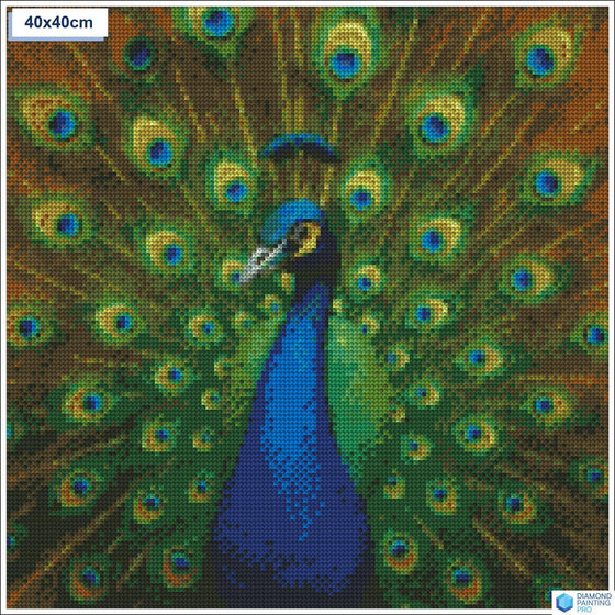 Diamond painting Elegante pauw veren vierkante stenen 40x40cm - voor kinderen