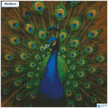 Diamond painting Elegante pauw veren vierkante stenen 50x50cm - voor kinderen