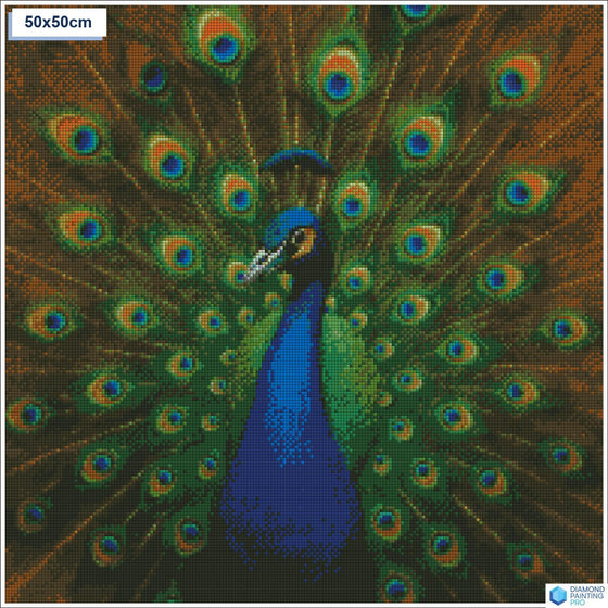 Diamond painting Elegante pauw veren vierkante stenen 50x50cm - voor kinderen