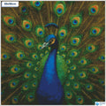 Diamond painting Elegante pauw veren vierkante stenen 50x50cm - voor kinderen