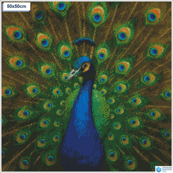 Diamond painting Elegante pauw veren vierkante stenen 50x50cm - voor kinderen