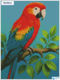 Diamond painting kleurrijke papegaai tak vierkante stenen 30x40cm - action
