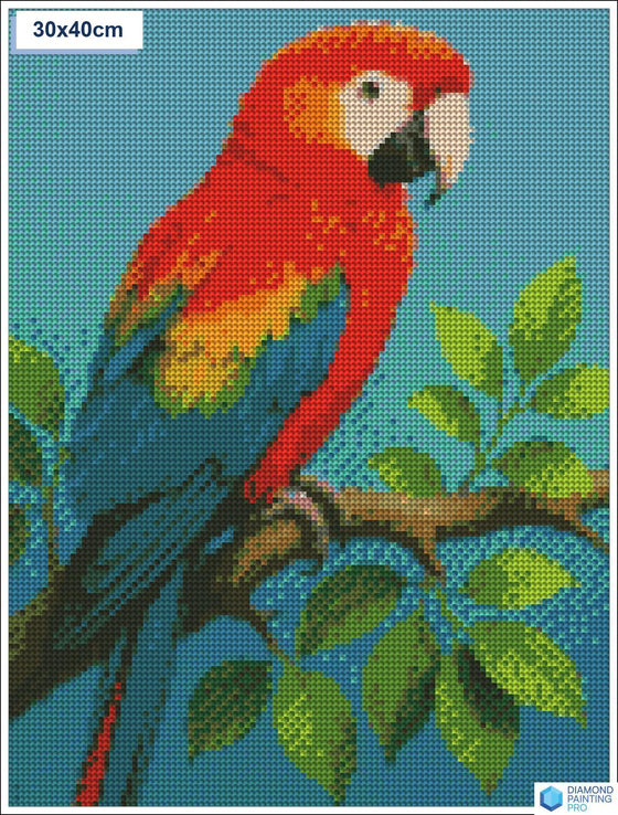 Diamond painting kleurrijke papegaai tak vierkante stenen 30x40cm - action