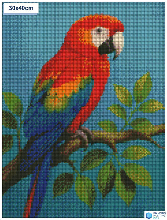 Diamond painting kleurrijke papegaai tak vierkante stenen 30x40cm - action