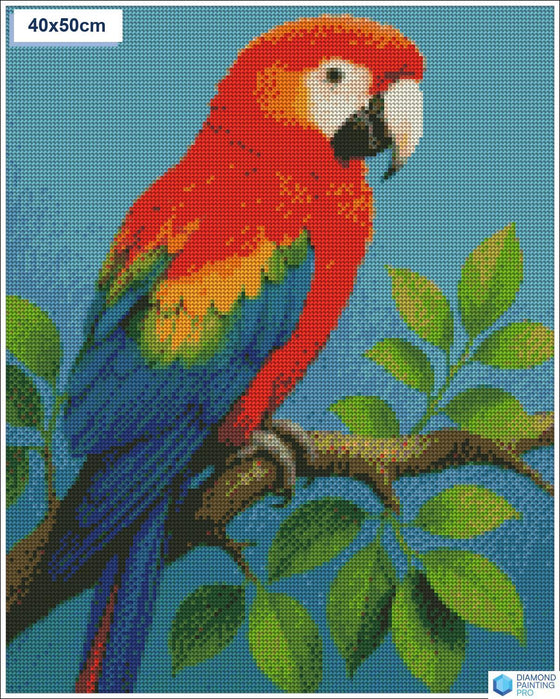 Diamond painting kleurrijke papegaai tak vierkante stenen 40x50cm - action