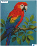 Diamond painting kleurrijke papegaai tak vierkante stenen 40x50cm - action