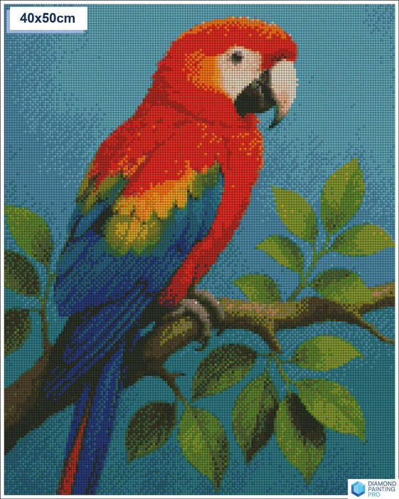 Diamond painting kleurrijke papegaai tak vierkante stenen 40x50cm - action