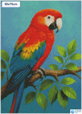 Diamond painting kleurrijke papegaai tak vierkante stenen 50x70cm - action
