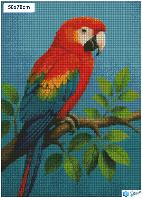Diamond painting kleurrijke papegaai tak vierkante stenen 50x70cm - action