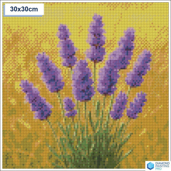 Diamond painting lavendel 30x30cm ronde steentjes - hema
