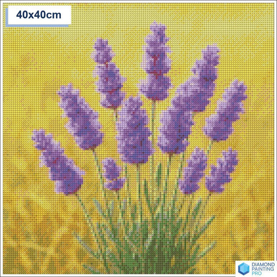 Diamond painting lavendel 40x40cm ronde steentjes - hema