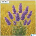 Diamond painting lavendel 40x40cm vierkante steentjes - hema