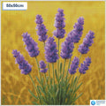 Diamond painting lavendel 50x50cm ronde steentjes - hema