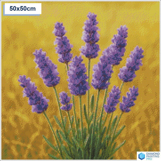 Diamond painting lavendel 50x50cm ronde steentjes - hema