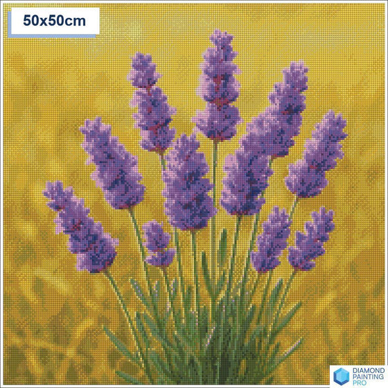 Diamond painting lavendel 50x50cm vierkante steentjes - hema