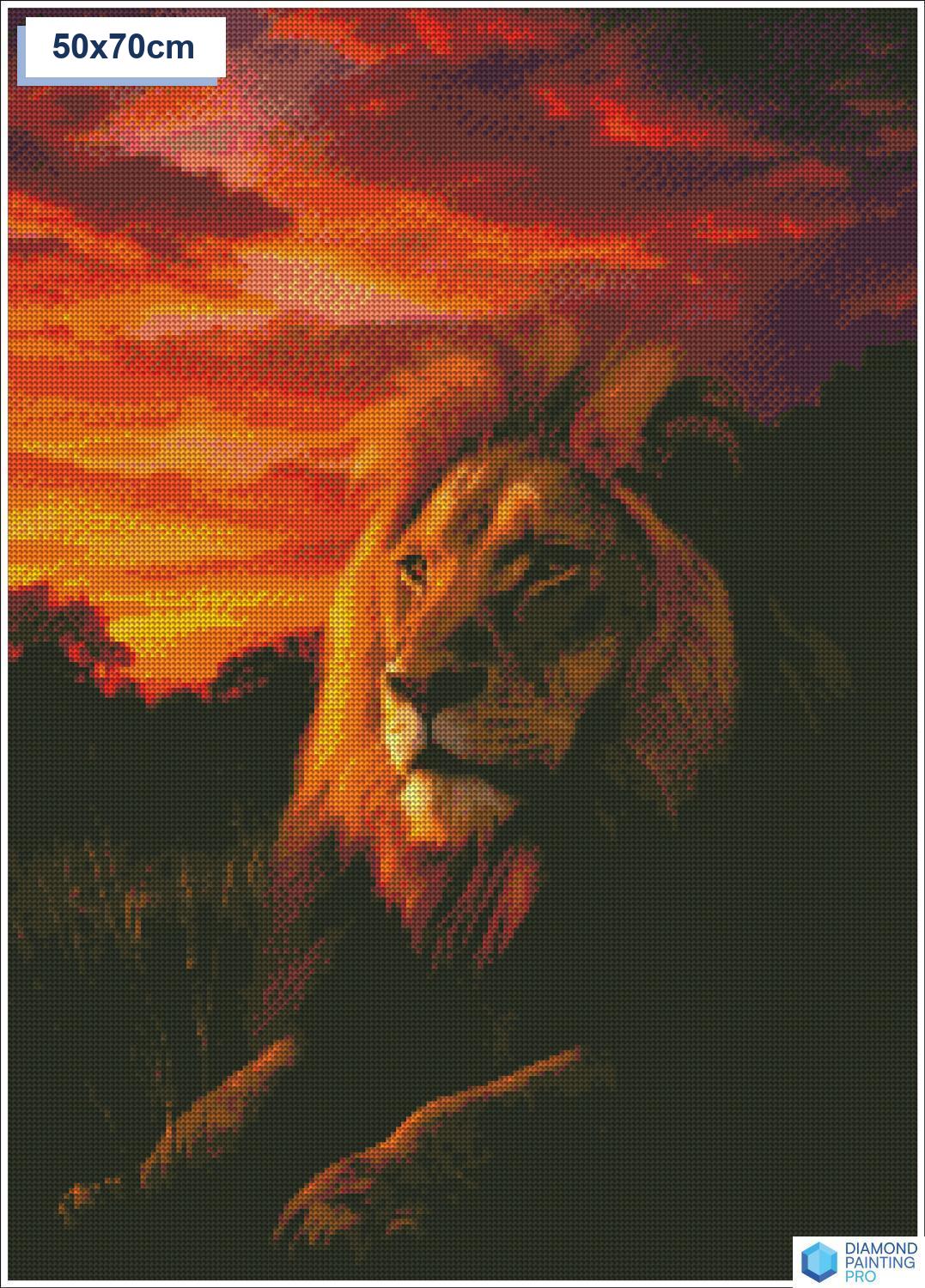 Diamond painting Leeuw zonsondergang dieren vierkante stenen 50x70cm - kruidvat