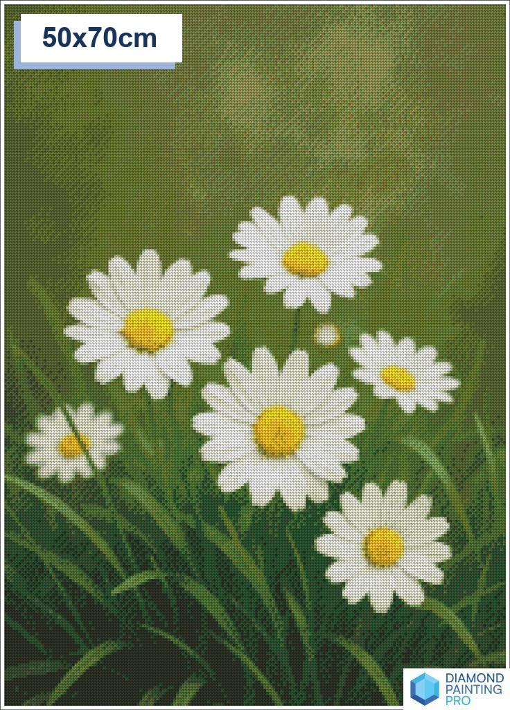 Diamond painting madeliefjes 30x30cm ronde steentjes - nederland