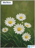 Diamond painting madeliefjes 30x30cm vierkante steentjes - nederland