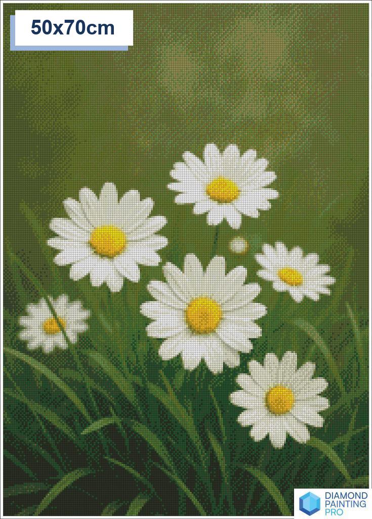 Diamond painting madeliefjes 30x30cm vierkante steentjes - nederland