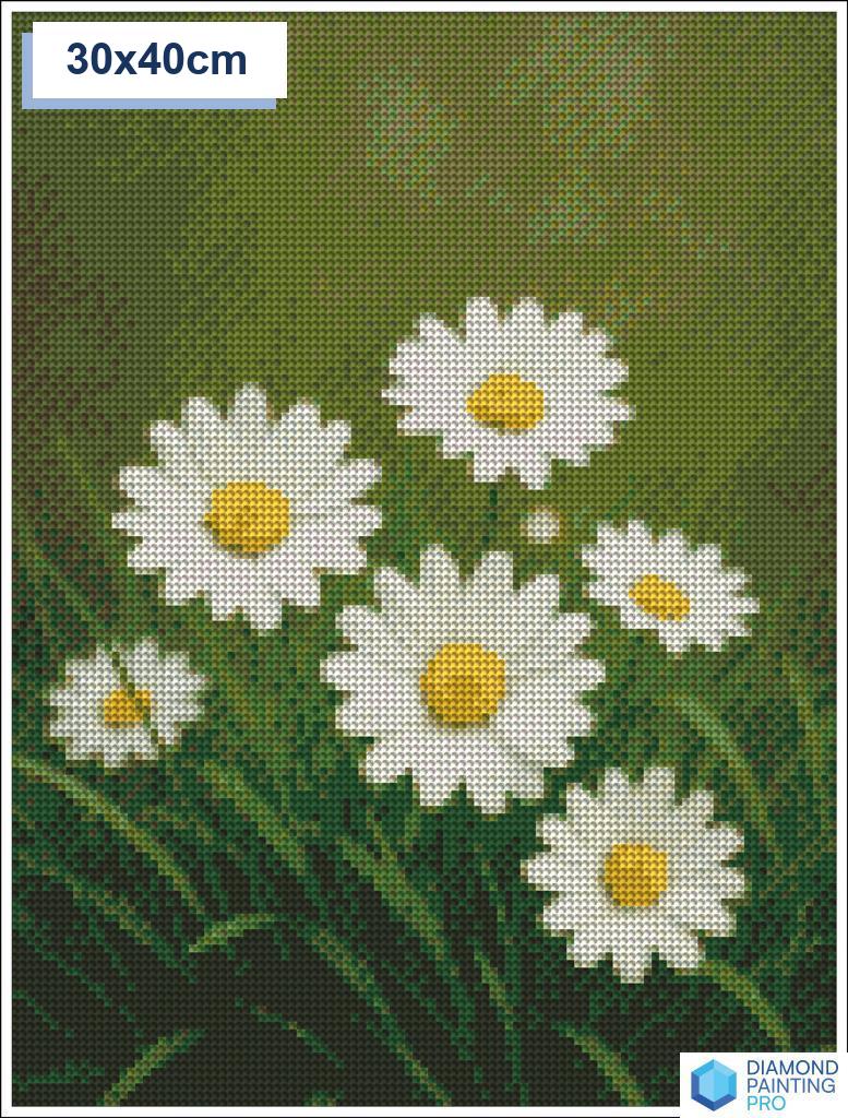Diamond painting madeliefjes 40x40cm ronde steentjes - nederland