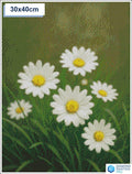 Diamond painting madeliefjes 40x40cm vierkante steentjes - nederland