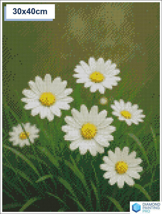 Diamond painting madeliefjes 40x40cm vierkante steentjes - nederland