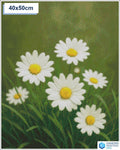 Diamond painting madeliefjes 50x50cm ronde steentjes - nederland