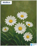 Diamond painting madeliefjes 50x50cm vierkante steentjes - nederland