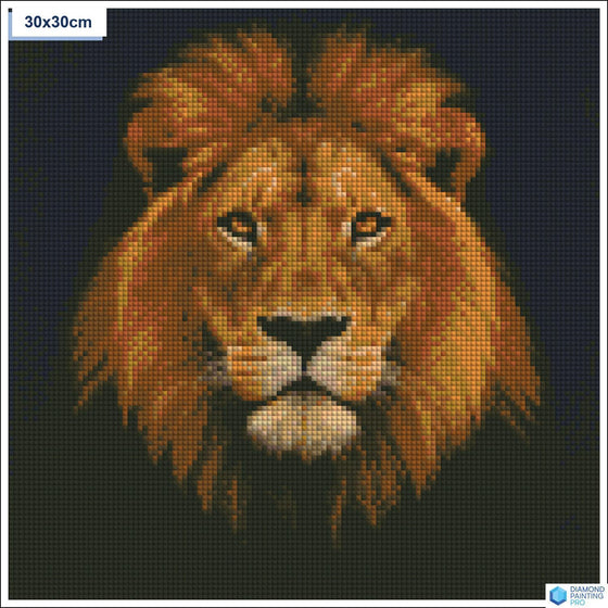 Diamond painting Majestueuze leeuwenkop vierkante stenen 30x30cm - Nederland
