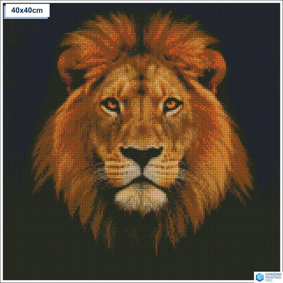 Diamond painting Majestueuze leeuwenkop vierkante stenen 40x40cm - Nederland