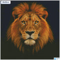 Diamond painting Majestueuze leeuwenkop vierkante stenen 50x50cm - Nederland