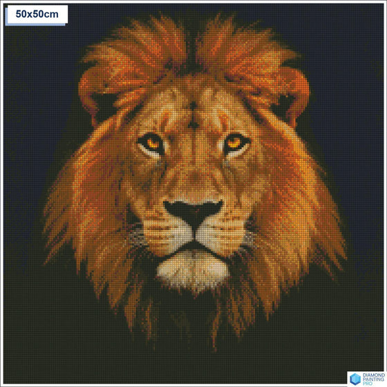 Diamond painting Majestueuze leeuwenkop vierkante stenen 50x50cm - Nederland
