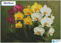 Diamond painting orchideeen 30x30cm ronde steentjes - xenos