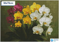 Diamond painting orchideeen 30x30cm vierkante steentjes - xenos