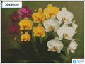Diamond painting orchideeen 40x40cm vierkante steentjes - xenos