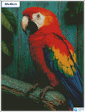 Diamond painting papegaai op stok vierkante stenen 30x30cm - 5D diamant kit
