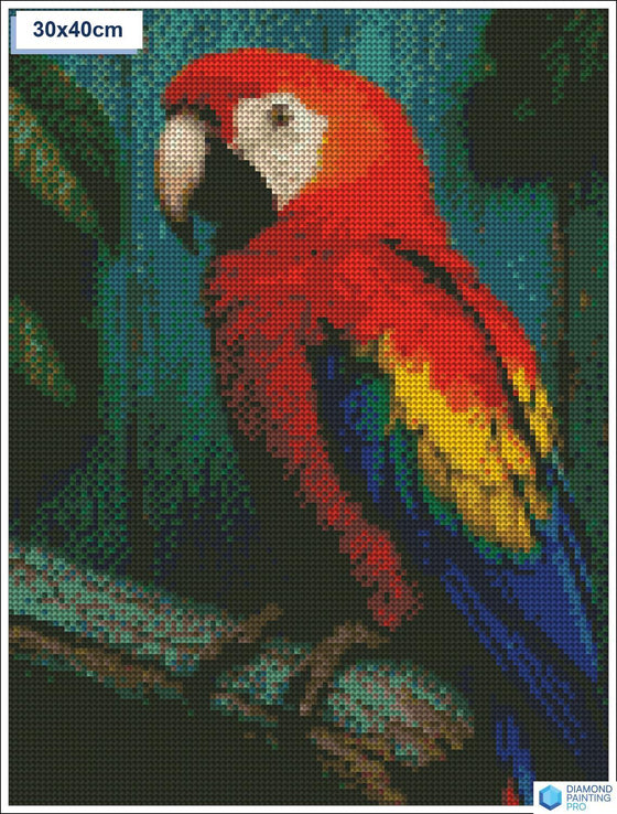 Diamond painting papegaai op stok vierkante stenen 30x30cm - 5D diamant kit
