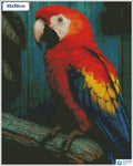 Diamond painting papegaai op stok vierkante stenen 40x40cm - 5D diamant kit