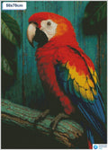 Diamond painting papegaai op stok vierkante stenen 50x50cm - 5D diamant kit