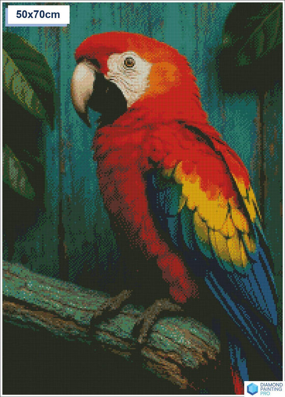 Diamond painting papegaai op stok vierkante stenen 50x50cm - 5D diamant kit