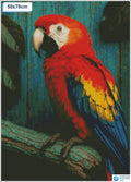 Diamond painting papegaai op stokvierkante stenen 50x50cm - 5D diamant kit