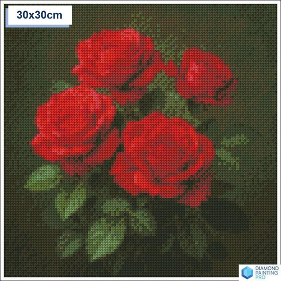 Diamond painting rode rozen 30x30cm ronde steentjes - 5D diamant kit