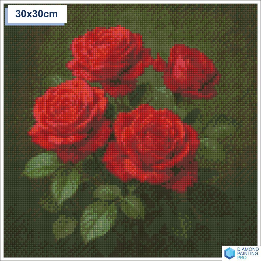 Diamond painting rode rozen 30x30cm vierkante steentjes - 5D diamant kit