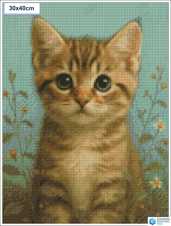 Diamond painting Schattige kat grote ogen vierkante stenen 30x40cm - Nederland